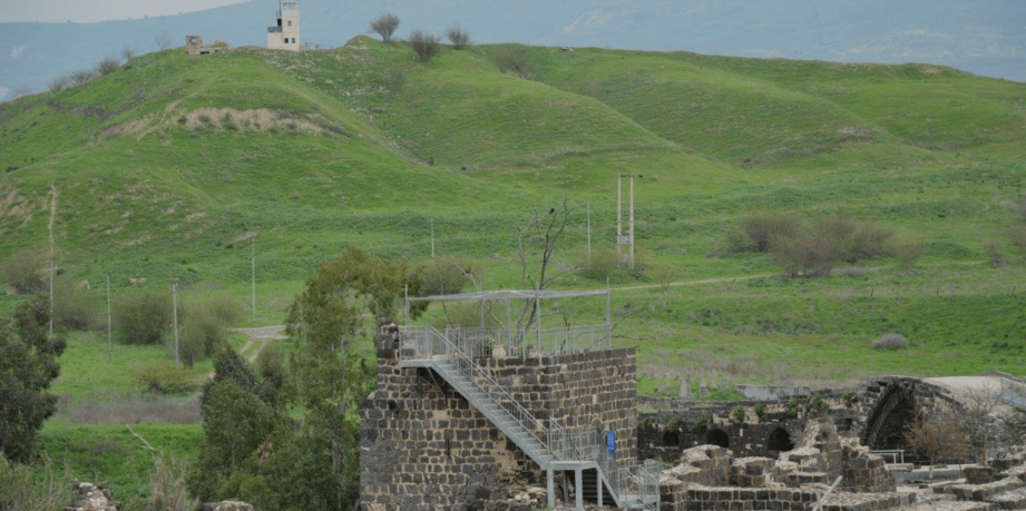 שמאי מקרקעין מעלה אדומים