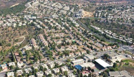 שמאי מקרקעין במבשרת ציון – יניב רפאל, הבחירה הנכונה לשירות מקצועי ואמין